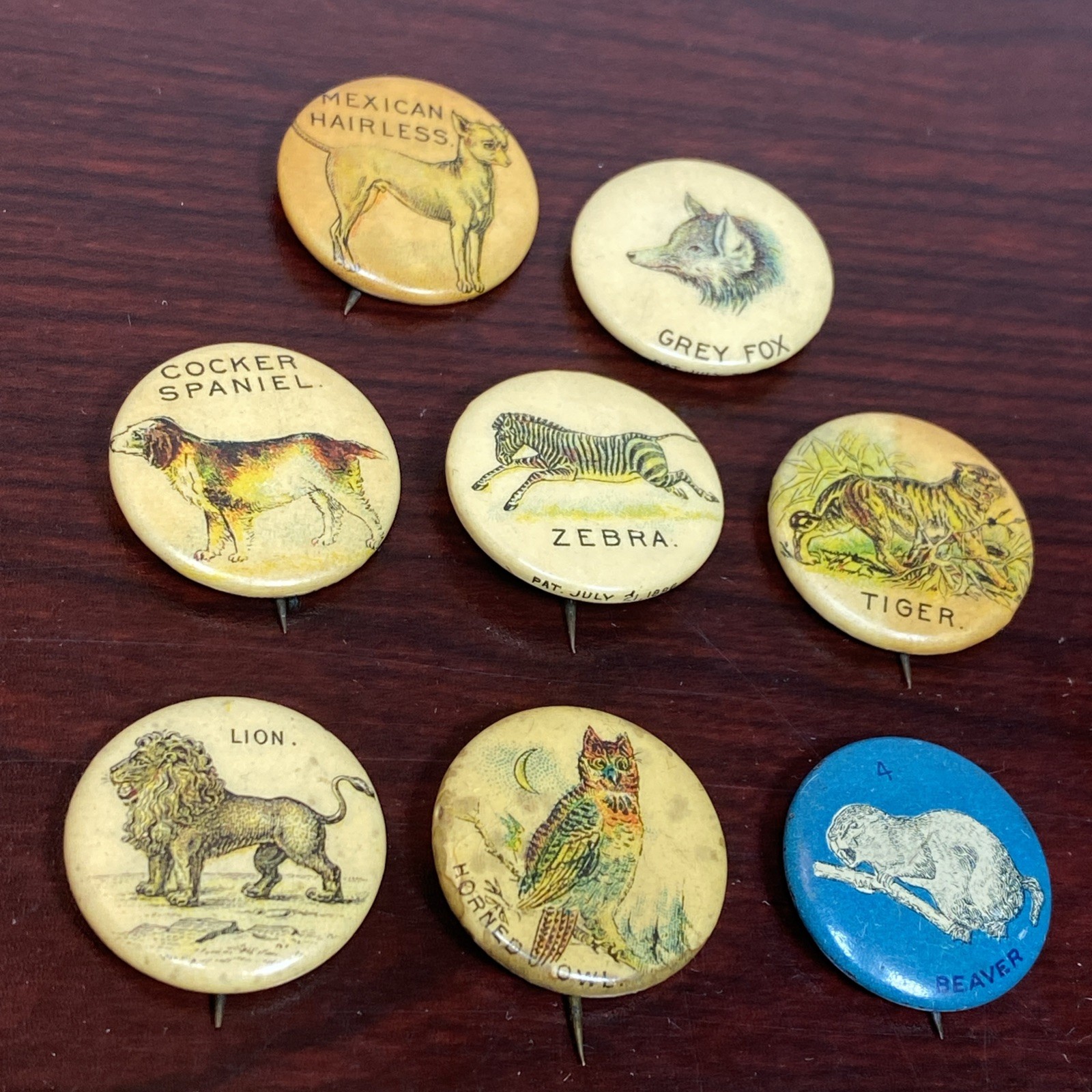 VTG Lot ANTIQUE 1890s Pepsin Gum Celluloid Animals Button Pins Whitehead & Hoag VTG Lot ANTIQUE 1890s Pepsin Gum Celluloid Animals Button Pins Whitehead & Hoag