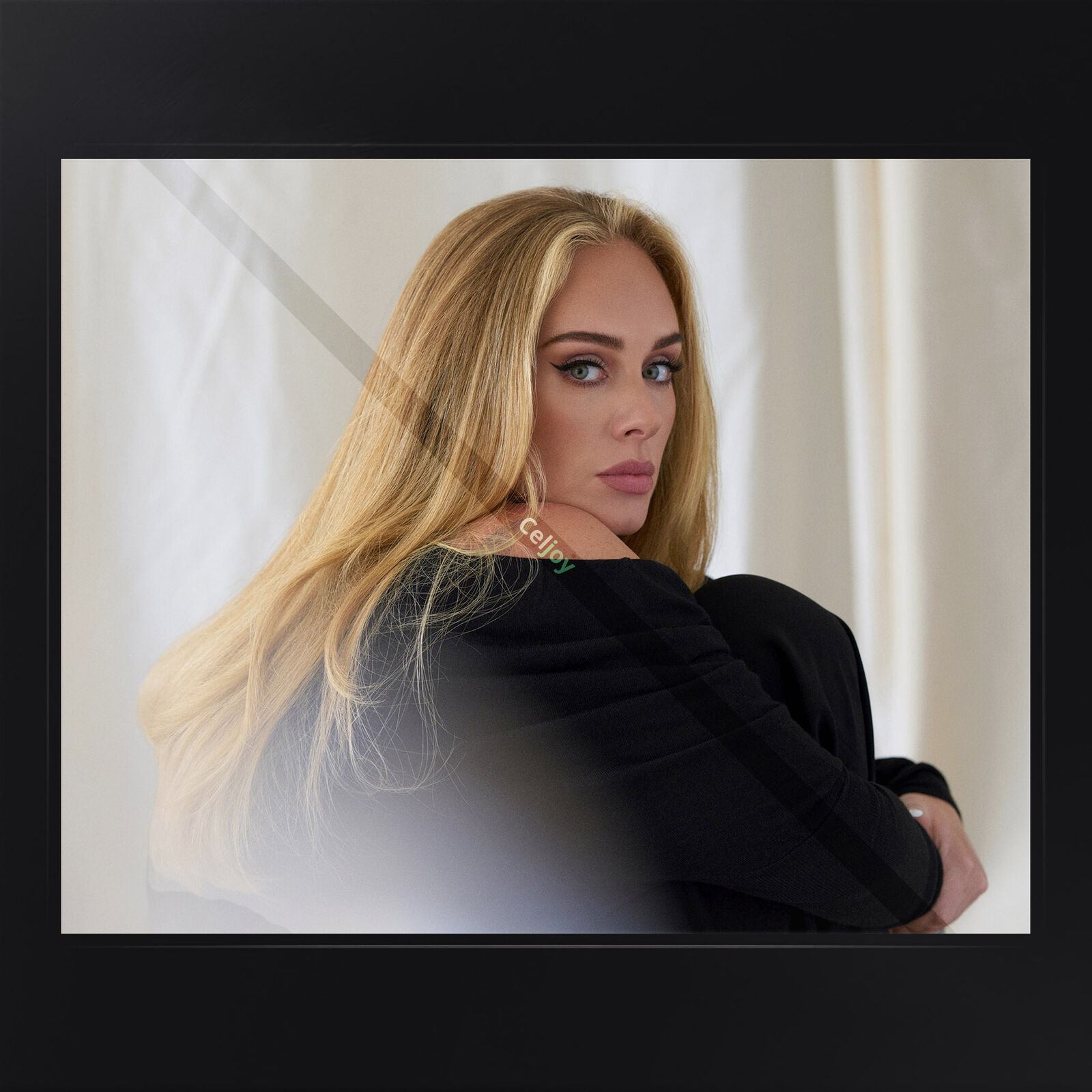 Adele 004 | 8 x 10 Photo | Celebrity Singer, Beautiful Woman