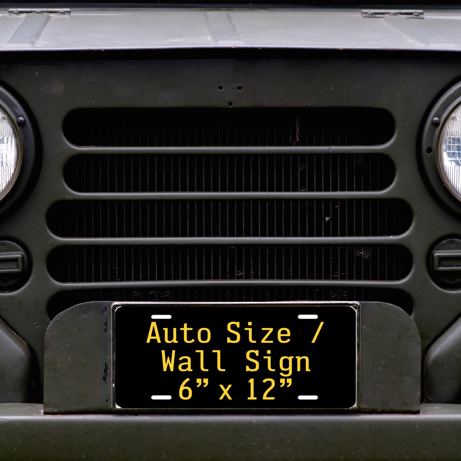 Guanajuato Mexico 20 Customized License Plate Novelty Auto ATV Motor bicycle etc Guanajuato Mexico 20 Customized License Plate Novelty Auto ATV Motor bicycle etc