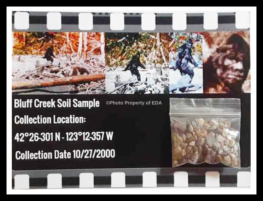 Limited Edition Patterson Gimlin Bigfoot Bluff Creek Soil Sample W Certificate
