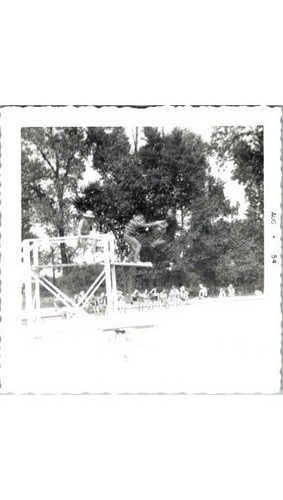 1954 Swimming Hole Photograph: Boys Diving Swim Trunks & Rustic Platform Scene