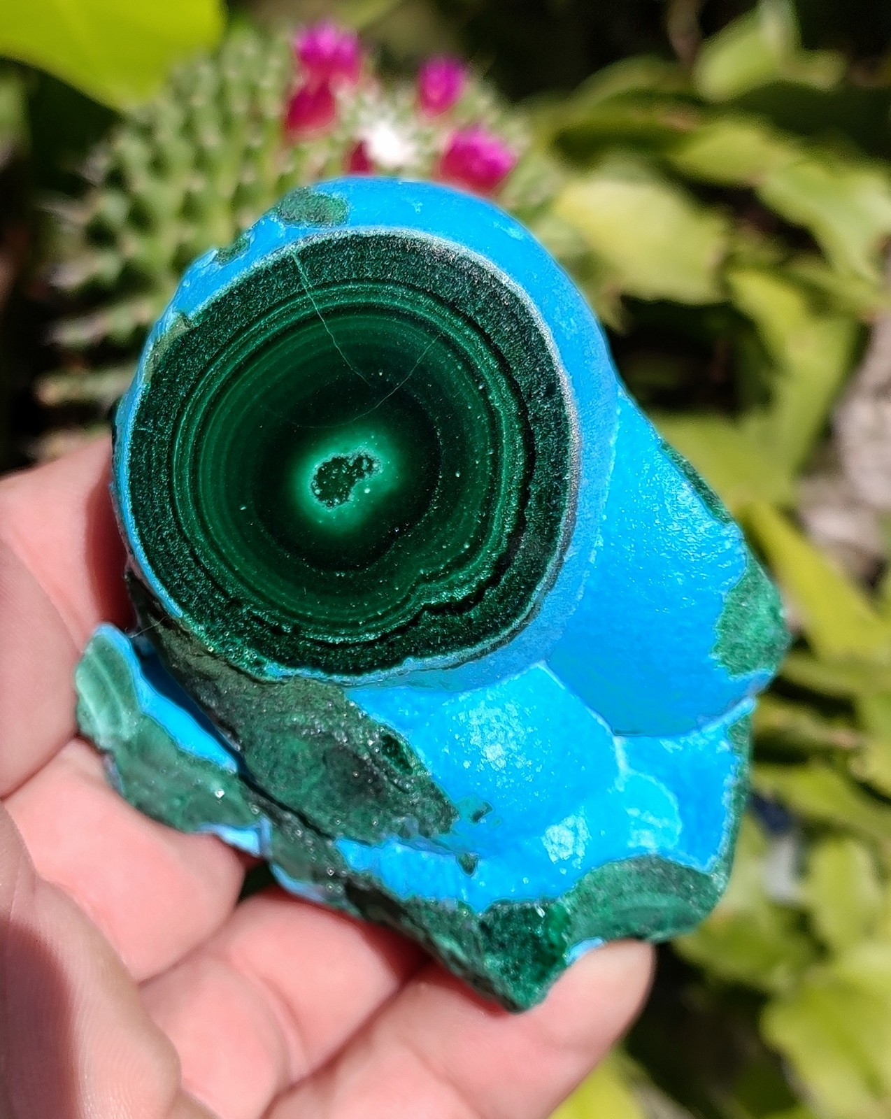 GORGEOUS CHRYSOCOLLA -MALACHITE NATURAL MINERAL, 216G POLISHED SHOW PIECE GORGEOUS CHRYSOCOLLA -MALACHITE NATURAL MINERAL, 216G POLISHED SHOW PIECE