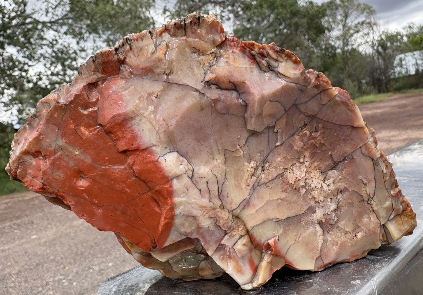 ☘️RR⛏️: Top Quality Arizona Rainbow Petrified Wood, 2.75 Lb 🌈 ☘️RR⛏️: Top Quality Arizona Rainbow Petrified Wood, 2.75 Lb 🌈