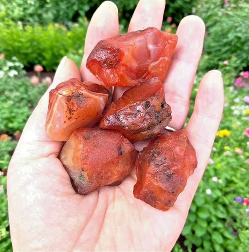 5PCS Raw Carnelian Crystal Stone Natural Orange-Red Gemstone – Spiritual Stone 5PCS Raw Carnelian Crystal Stone Natural Orange-Red Gemstone – Spiritual Stone