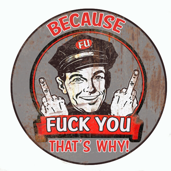 BECAUSE F""K YOU HOT ROD BUMPER GUNS LAPTOP DECAL TOOLBOX STICKER FUNNY
