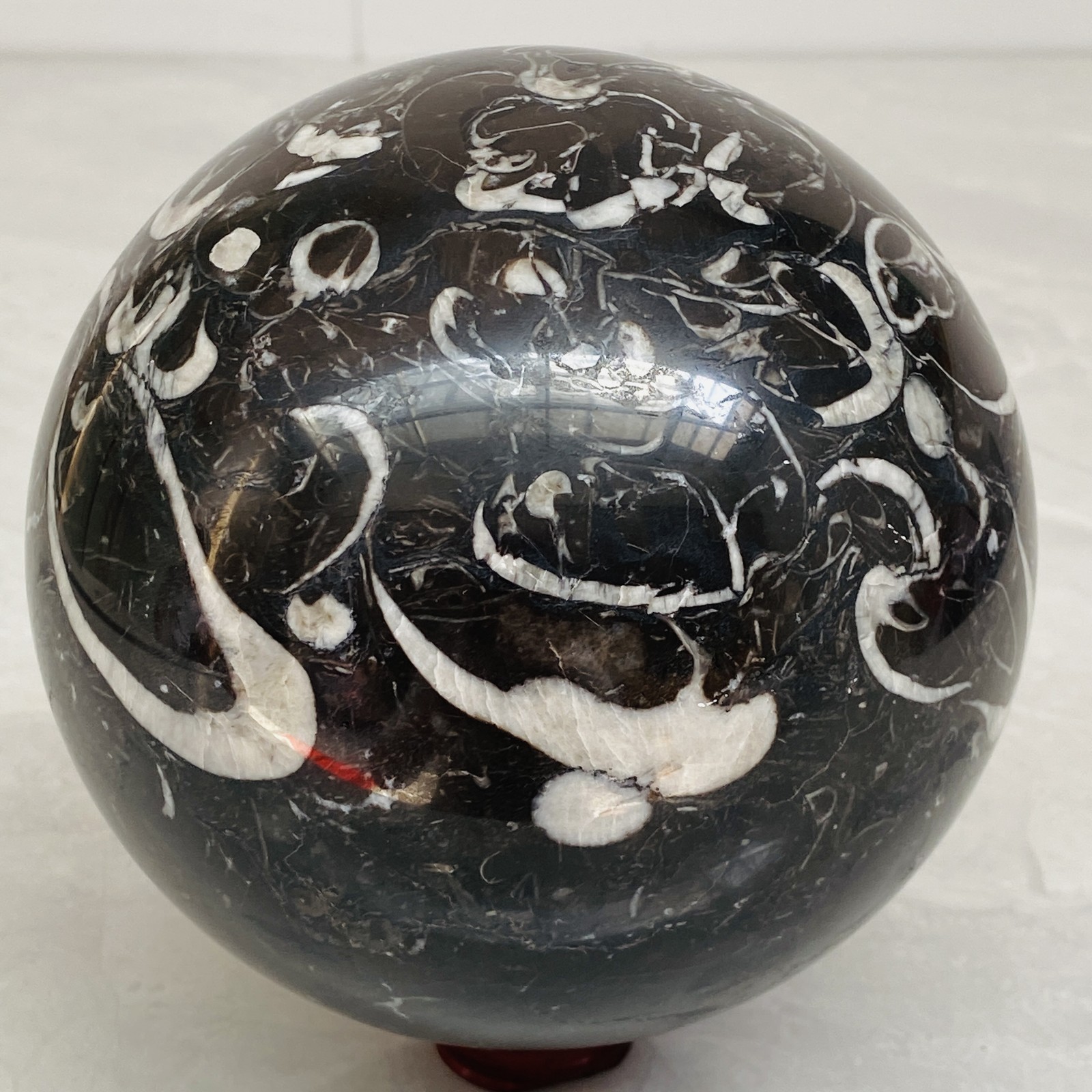 Natural Shell Jasper Thousand Eye Stone Crystal Polished Ball Healing (7.84LB) Natural Shell Jasper Thousand Eye Stone Crystal Polished Ball Healing (7.84LB)