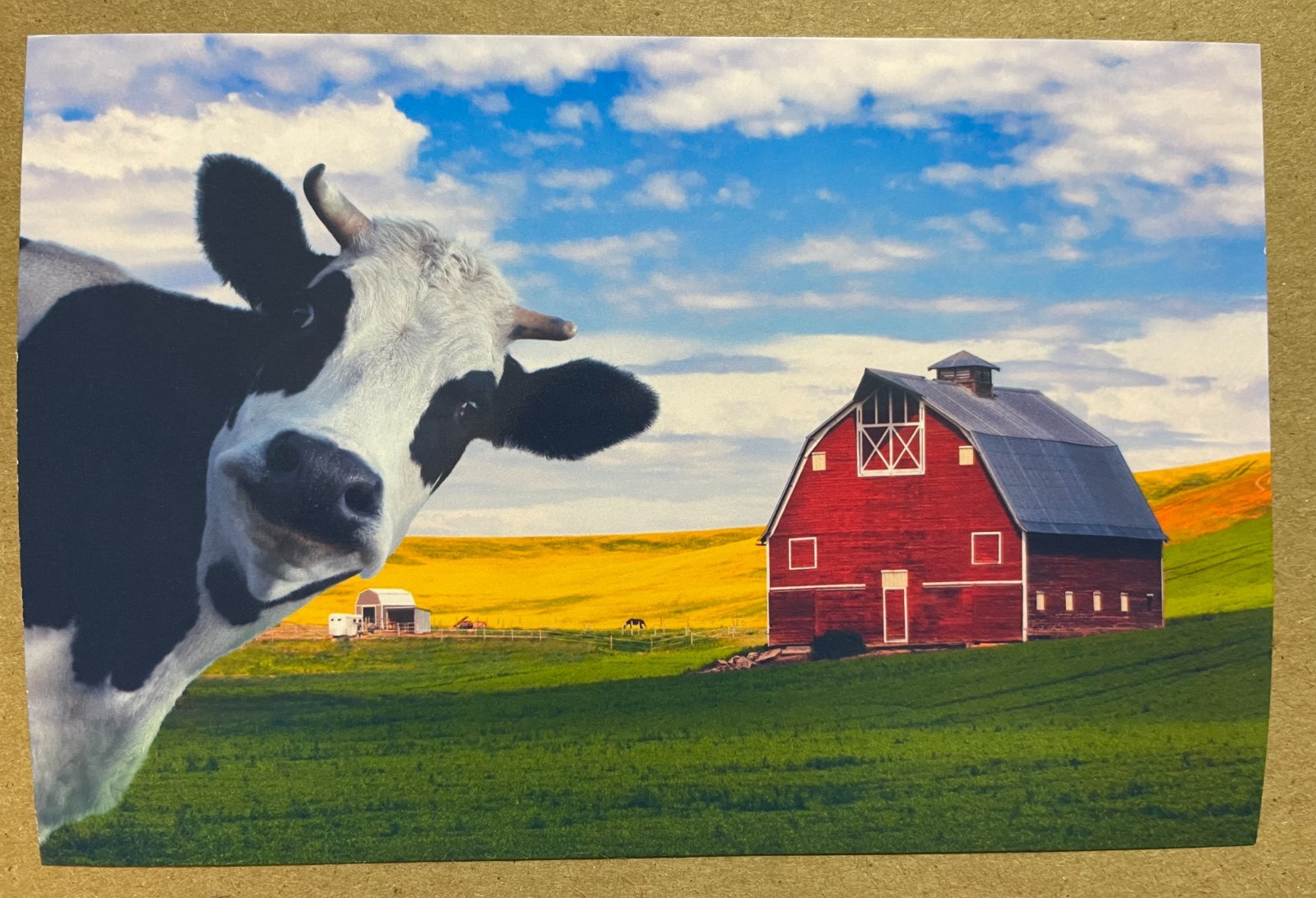 New postcard 4x6 Cow on the Farm