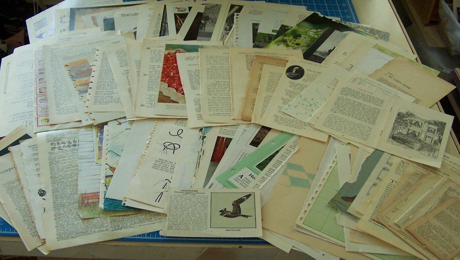 BOOK PAGES Antique paper old Vintage Ephemera for Journal 85 pgs ALL DIFFERENT