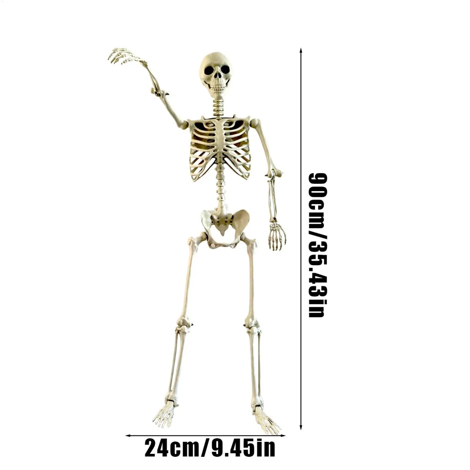 Halloween Life Size Human Skeleton 90cm Posable Joints Haunted House Prop Halloween Life Size Human Skeleton 90cm Posable Joints Haunted House Prop