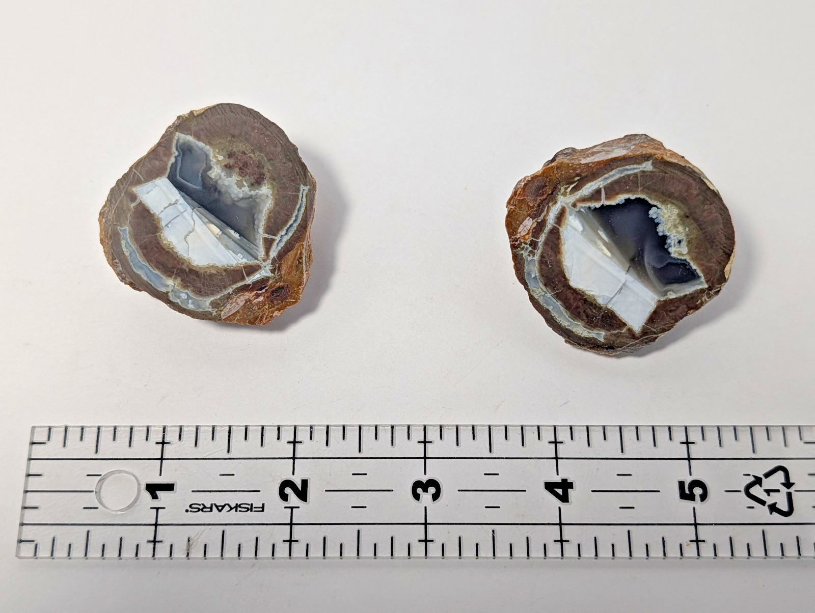 Pair of Thunder Eggs Rock Hound State Park Deming New Mexico NICE Pair of Thunder Eggs Rock Hound State Park Deming New Mexico NICE