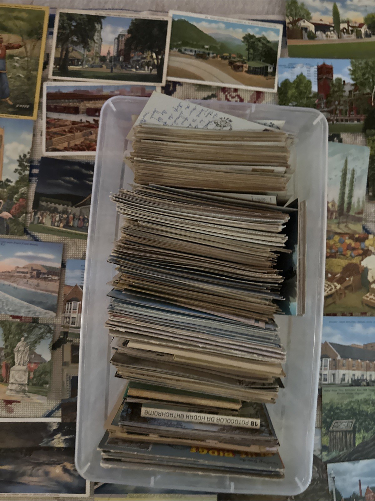 HUGE LOT Of FLORIDA & Other Places AVINTAGE POSTCARDS READ DESCRIPTION HUGE LOT Of FLORIDA & Other Places AVINTAGE POSTCARDS READ DESCRIPTION