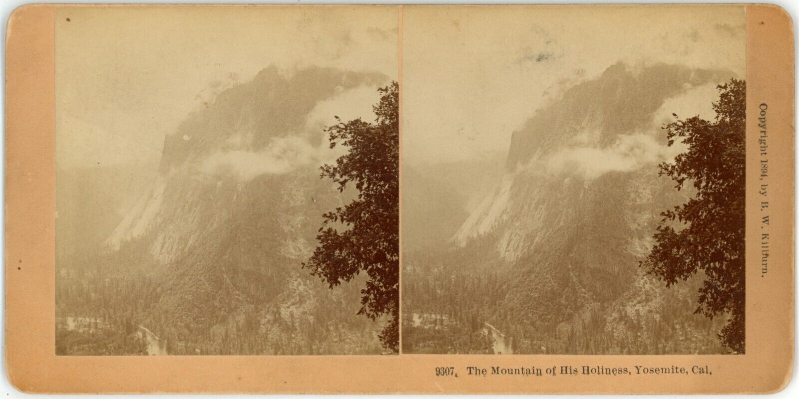 1894 Real Photo Stereoview Card 9307 The Mountain of His Holiness Yosemite, CA