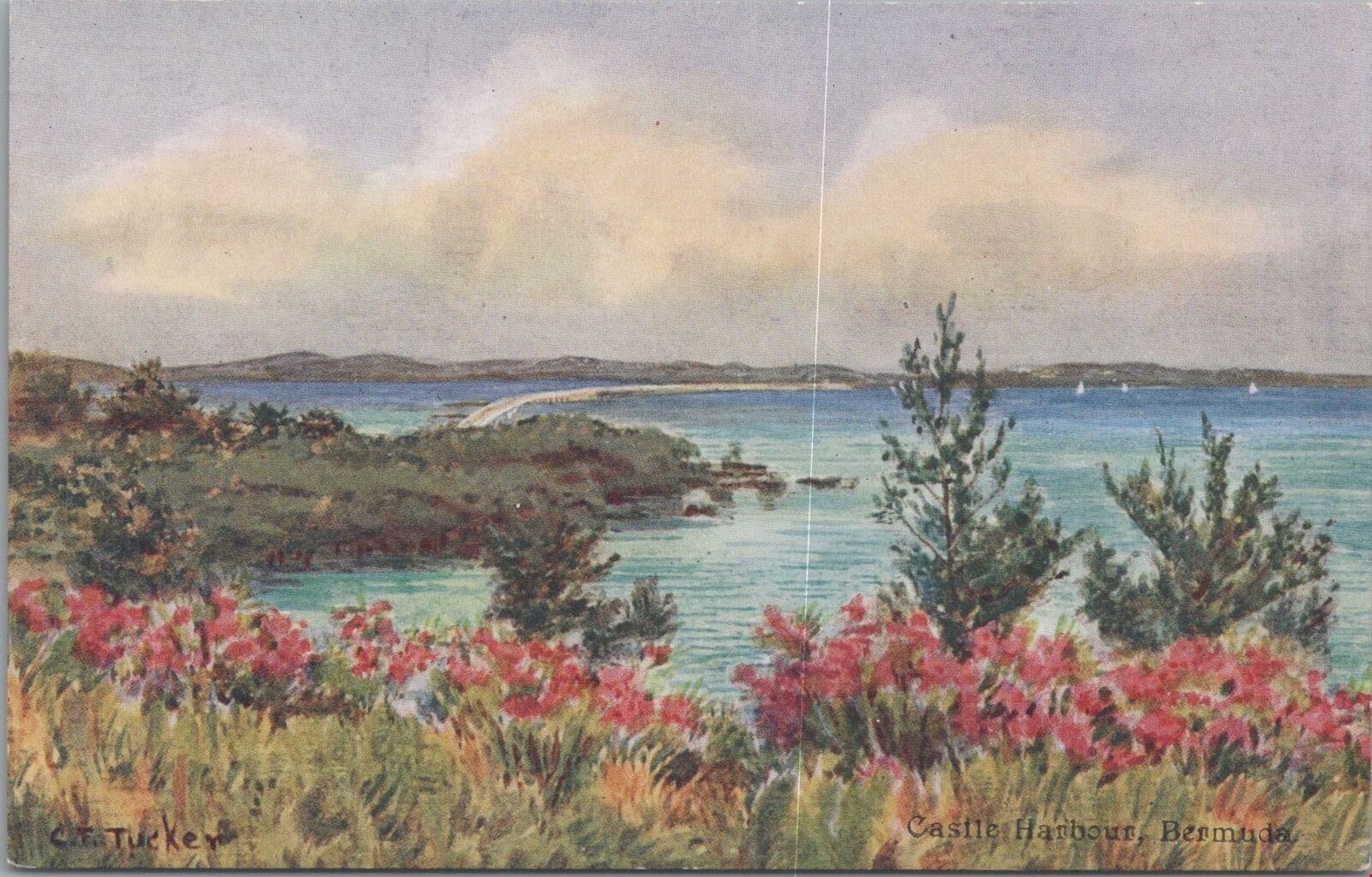 Postcard Castle Harbour Bermuda Artist Signed CT Tucker 
