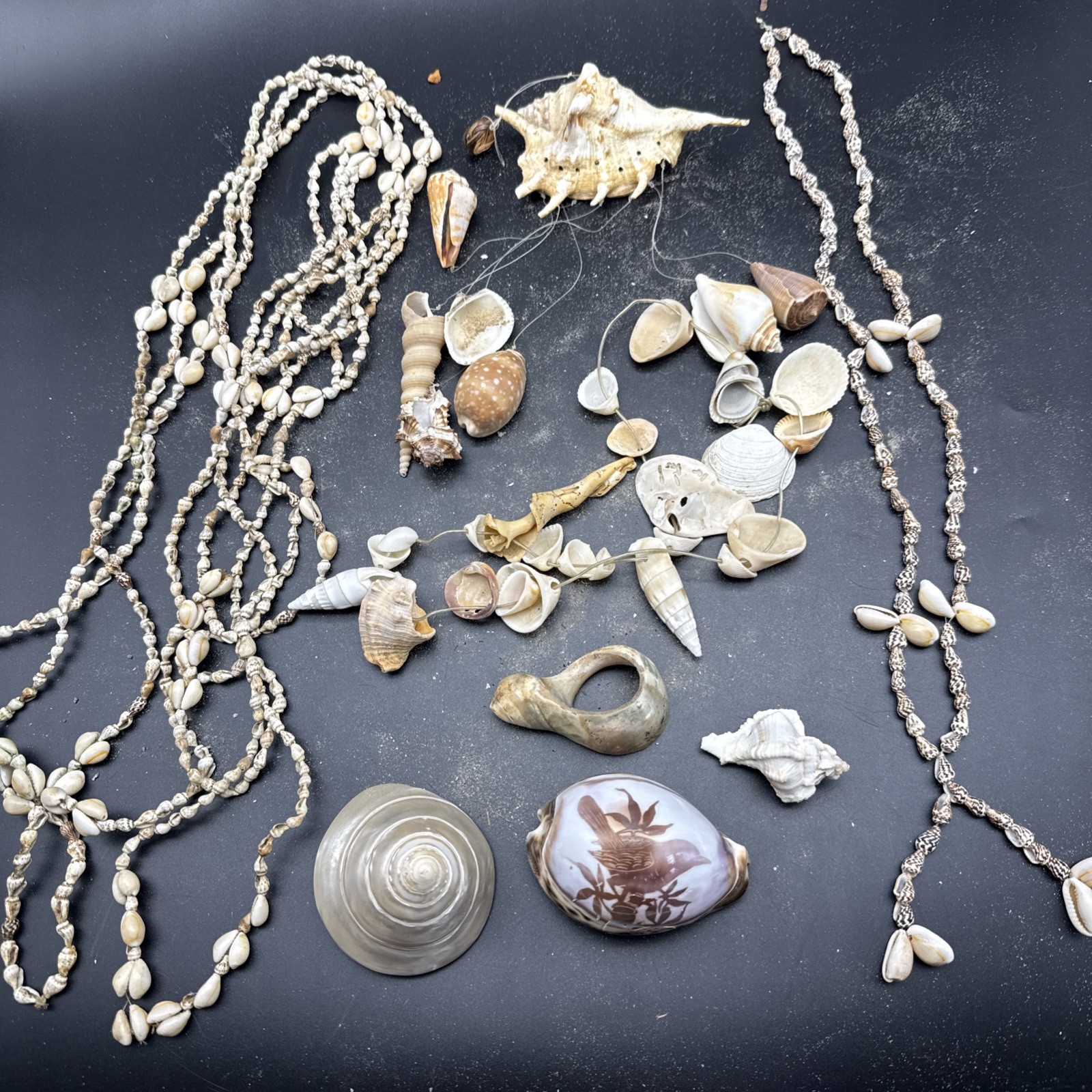 Vintage Estate Used Sea Shells Mixed Various Aquarium Crafts Decor Defects Read