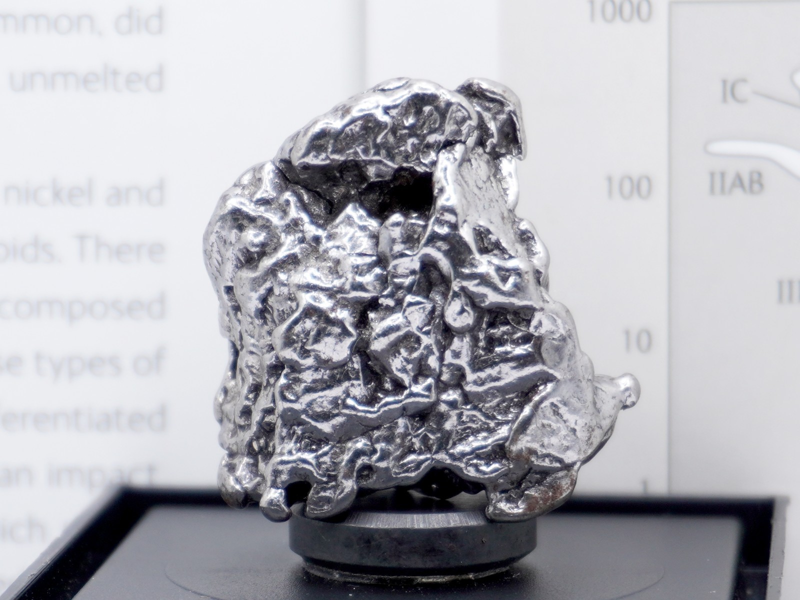 Authentic Campo del Cielo Meteorite | Certified Iron Space Rock from Argentina Authentic Campo del Cielo Meteorite | Certified Iron Space Rock from Argentina