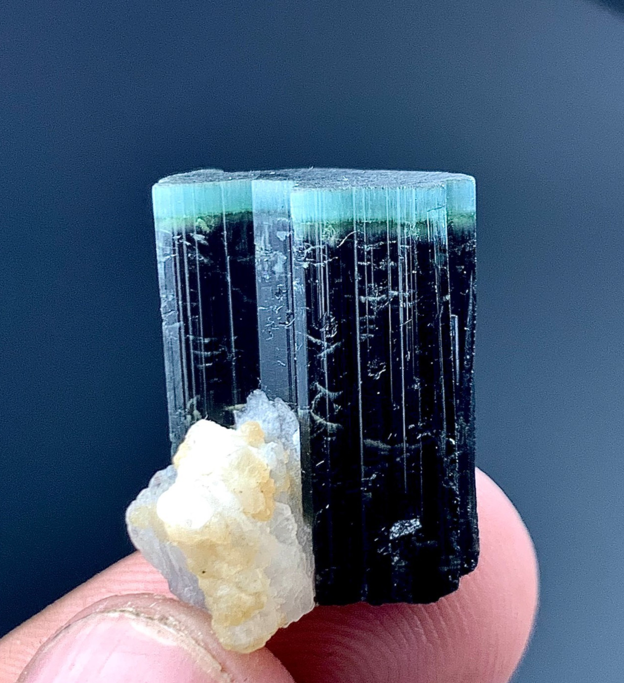 29 Carat Blue Cap and Green Cap Tourmaline Crystal Specimen From Afghanistan 29 Carat Blue Cap and Green Cap Tourmaline Crystal Specimen From Afghanistan