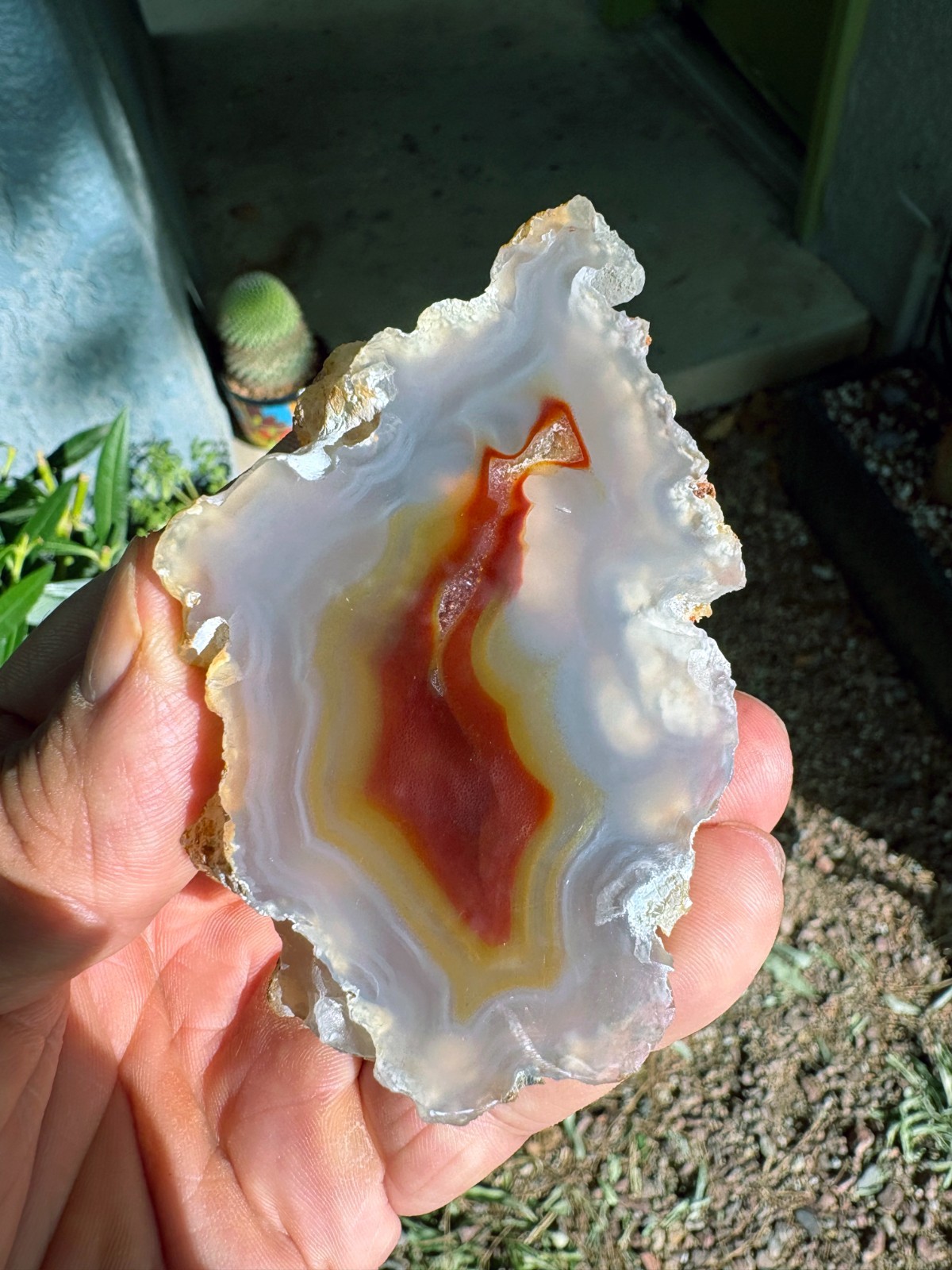 Polished Translucent Laguna Agate - Chihuahua, Mexico