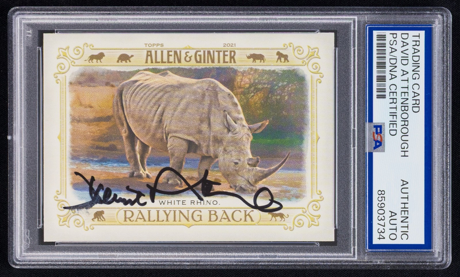 David Attenborough Signed 2021 Allen & Ginter White Rhino Card #RB-7 (PSA) David Attenborough Signed 2021 Allen & Ginter White Rhino Card #RB-7 (PSA)