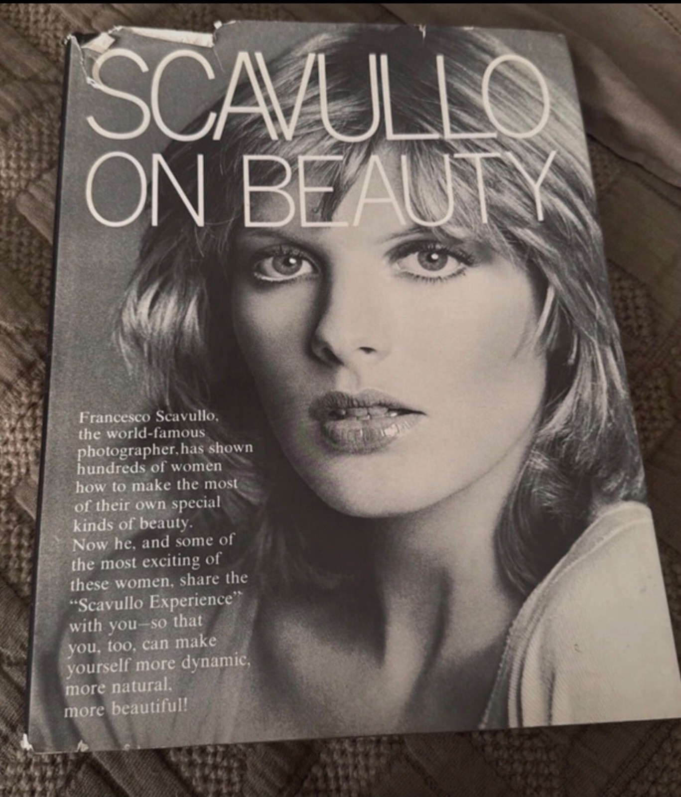 🔥GENUINE - HAND SIGNED FRANCESCO SCAVULLO- RARE - SCAVULLO ON BEAUTY- BECKETT 🔥GENUINE - HAND SIGNED FRANCESCO SCAVULLO- RARE - SCAVULLO ON BEAUTY- BECKETT