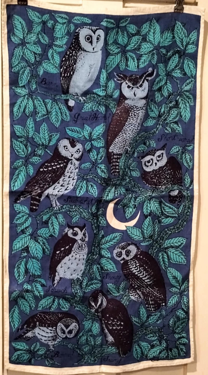 Vtg Lois Long Owl Species Linen Tea Towel Blue Green Kitchen Decor Fallani Cohn Vtg Lois Long Owl Species Linen Tea Towel Blue Green Kitchen Decor Fallani Cohn