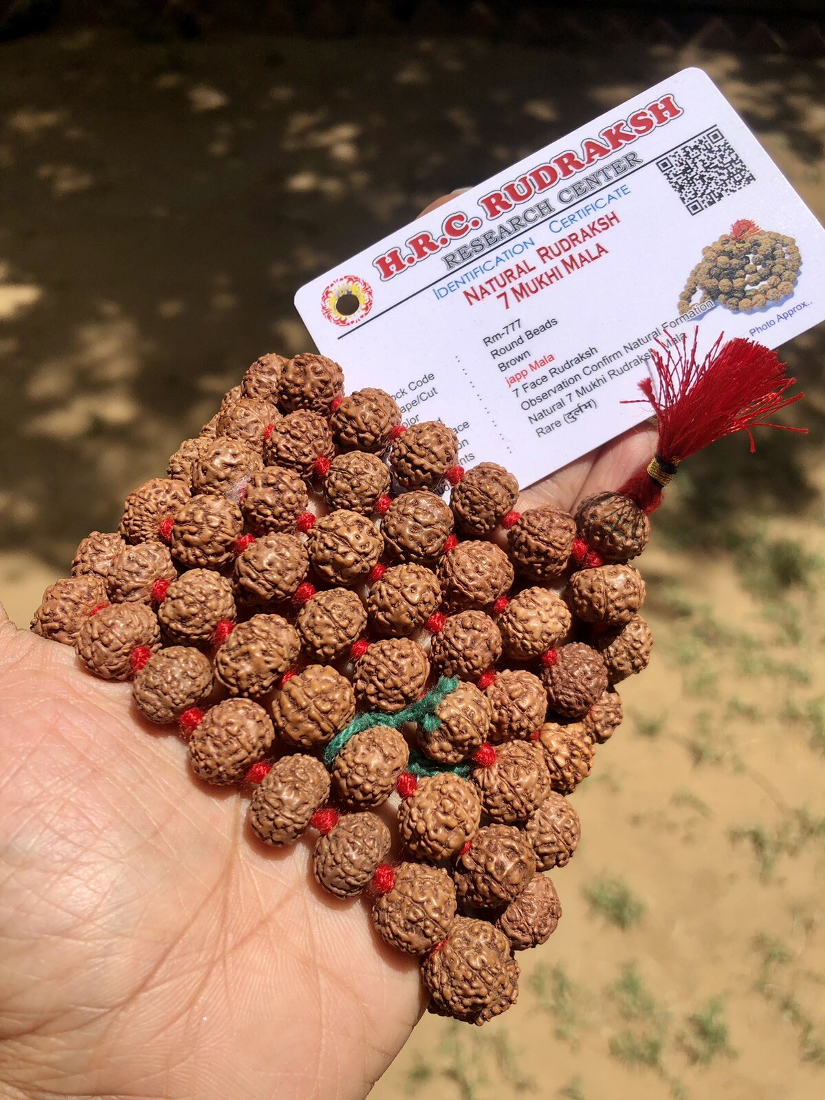 LAB CERTIFIED 7 Mukhi RUDRAKSHA Rudraksh Mala ROSARY 108+1 Bead Prayer Beads LAB CERTIFIED 7 Mukhi RUDRAKSHA Rudraksh Mala ROSARY 108+1 Bead Prayer Beads