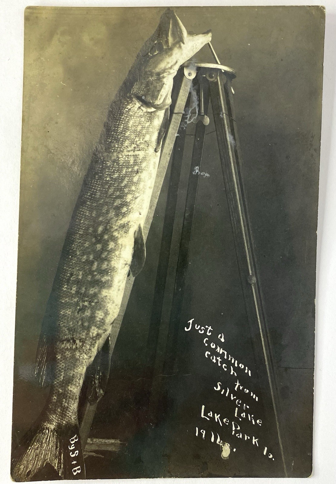 Northern Pike Fish RPPC Silver Lake in Lake Park " Just a common catch.. " PC UP Northern Pike Fish RPPC Silver Lake in Lake Park " Just a common catch.. " PC UP