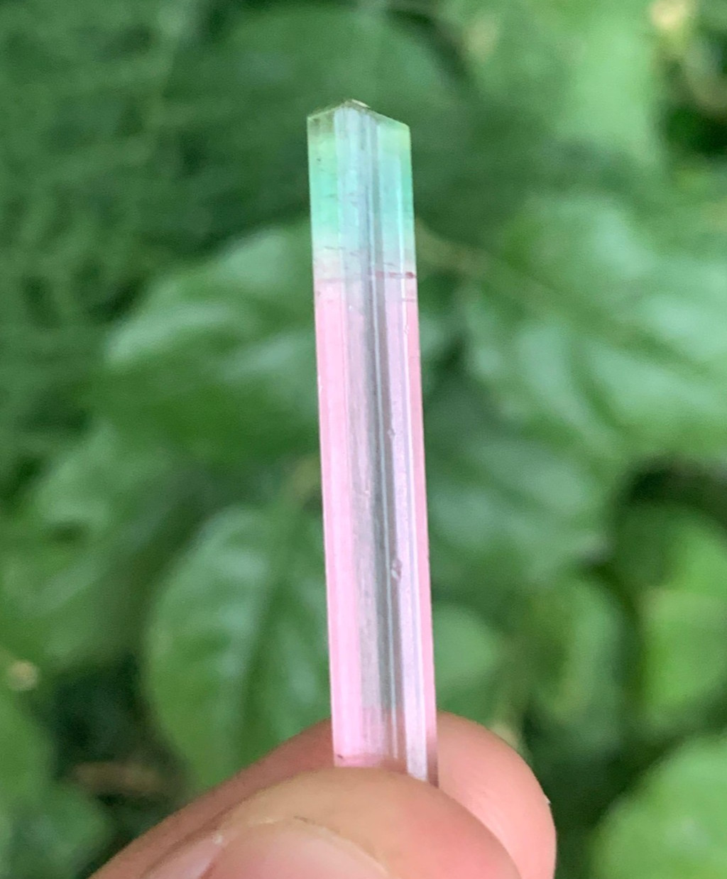 9.50 ct top quality heated bi-color tourmaline rough crystal from Afghanistan 9.50 ct top quality heated bi-color tourmaline rough crystal from Afghanistan
