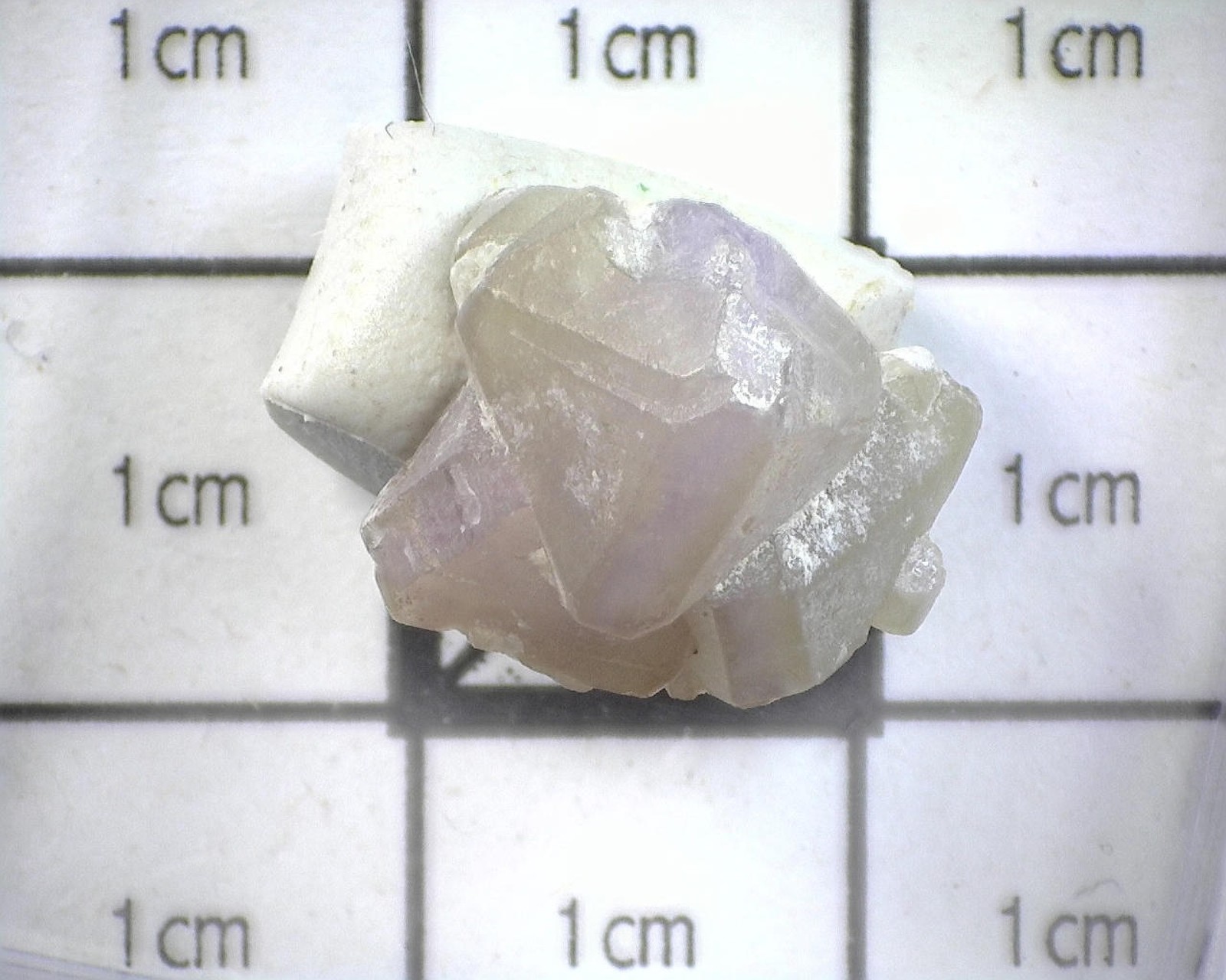 12478 MM Fluorapophyllite-(K)  Whitianga Qy Coromandel Penn Waikato Reg NZ 1323