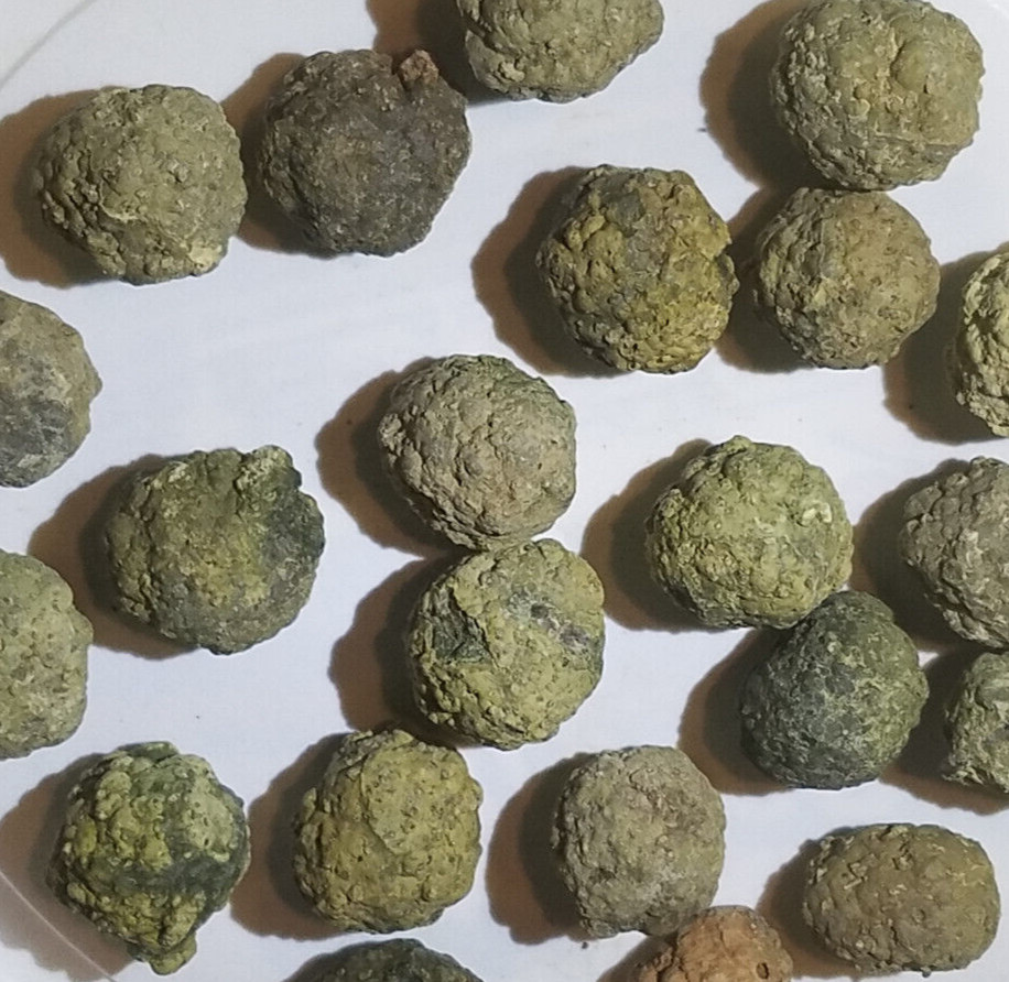 Each 1-lb LOT = 10 to 16 Oregon Thunderegg Rough Rocks JoNGD:#LapidaryGeMGeode Each 1-lb LOT = 10 to 16 Oregon Thunderegg Rough Rocks JoNGD:#LapidaryGeMGeode
