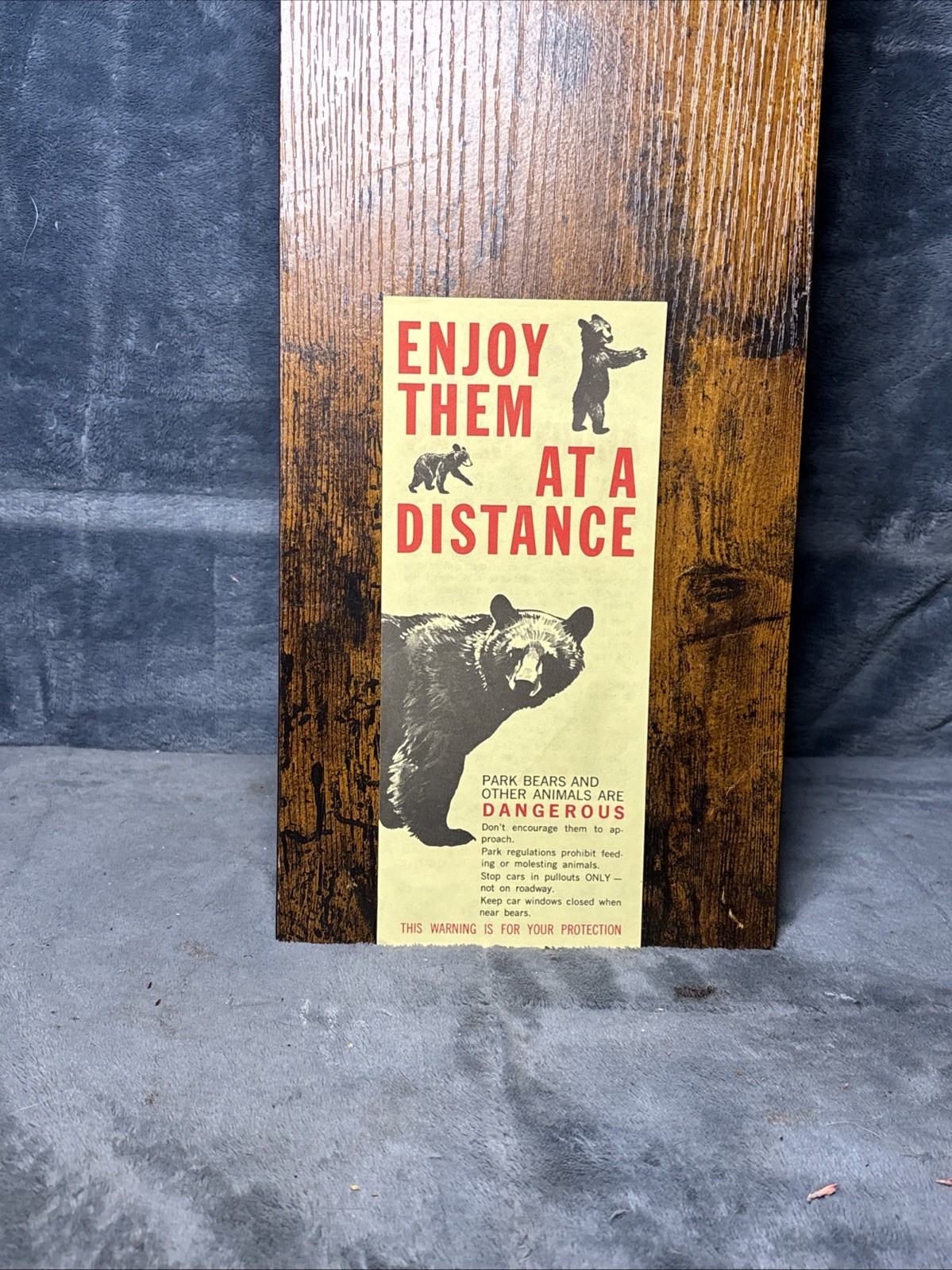 Vintage 1960s National Park Service Bear Safety Animal Wildlife Grizzly Black Vintage 1960s National Park Service Bear Safety Animal Wildlife Grizzly Black