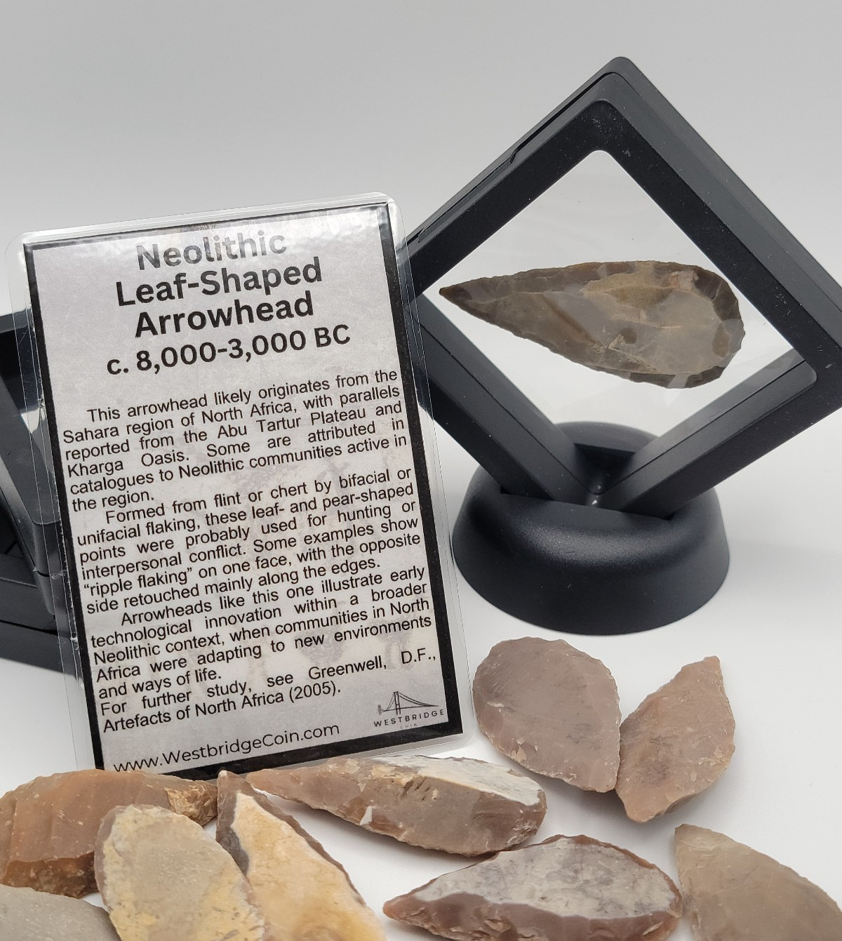 One Random Neolithic Flint Leaf-Shaped Arrowhead North Africa Case & Info Card One Random Neolithic Flint Leaf-Shaped Arrowhead North Africa Case & Info Card