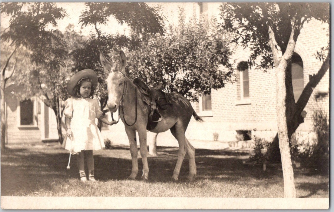 Vintage c1915 RPPC Postcard ~ Little Girl with Donkey ~ Real Photo Unposted