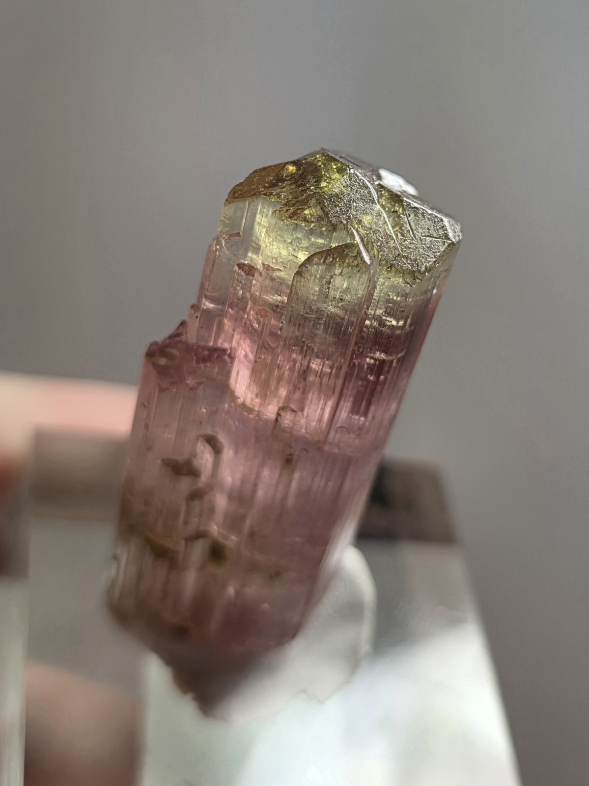 Gem Tricolor Tourmaline Single Crystal – Pink, Green & Clear Zoning – DR Congo Gem Tricolor Tourmaline Single Crystal – Pink, Green & Clear Zoning – DR Congo