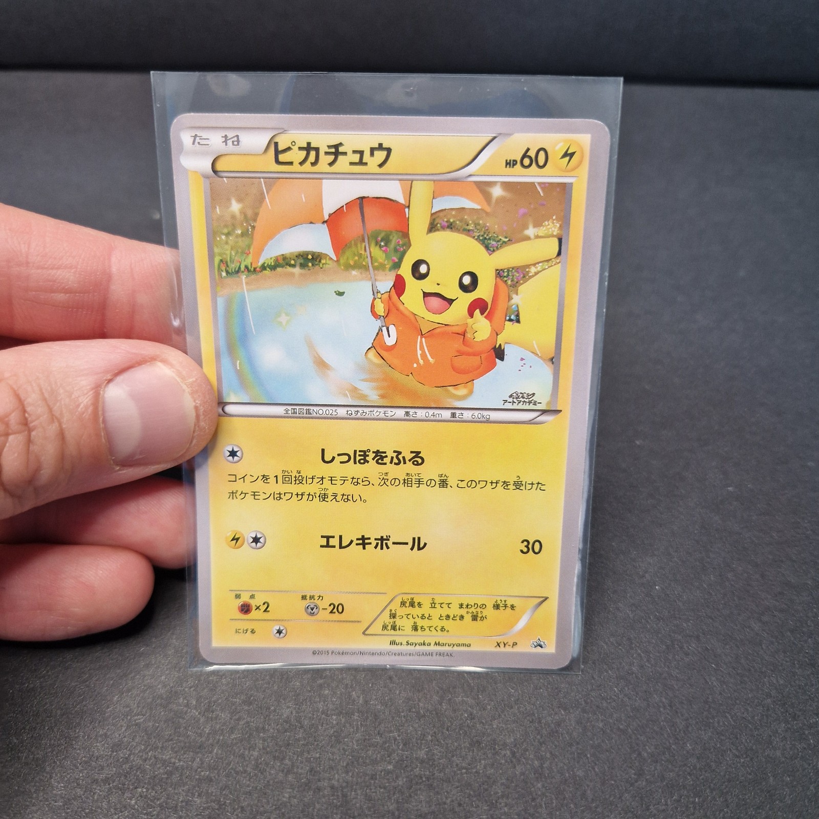 Pokemon Pikachu Raincoat Character Artwork Display Card Pokemon Pikachu Raincoat Character Artwork Display Card