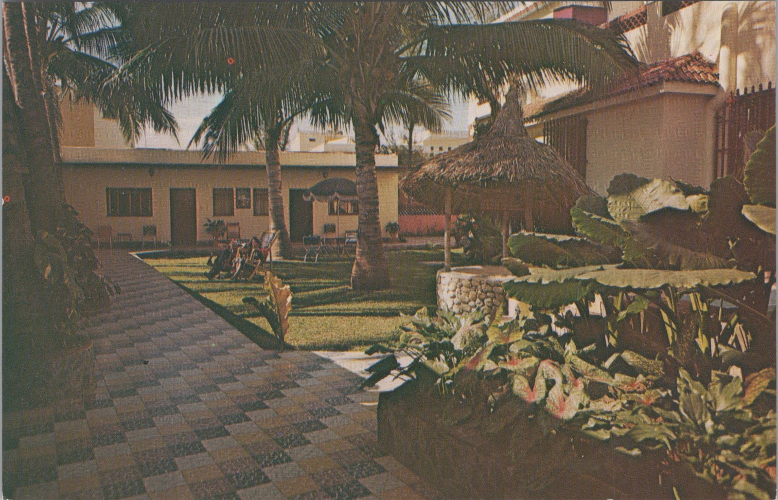 Hotel Hosteria Mendoza Patio Mazatlan Sinaloa Mexico Palapa Palms 1960s Postcard Hotel Hosteria Mendoza Patio Mazatlan Sinaloa Mexico Palapa Palms 1960s Postcard