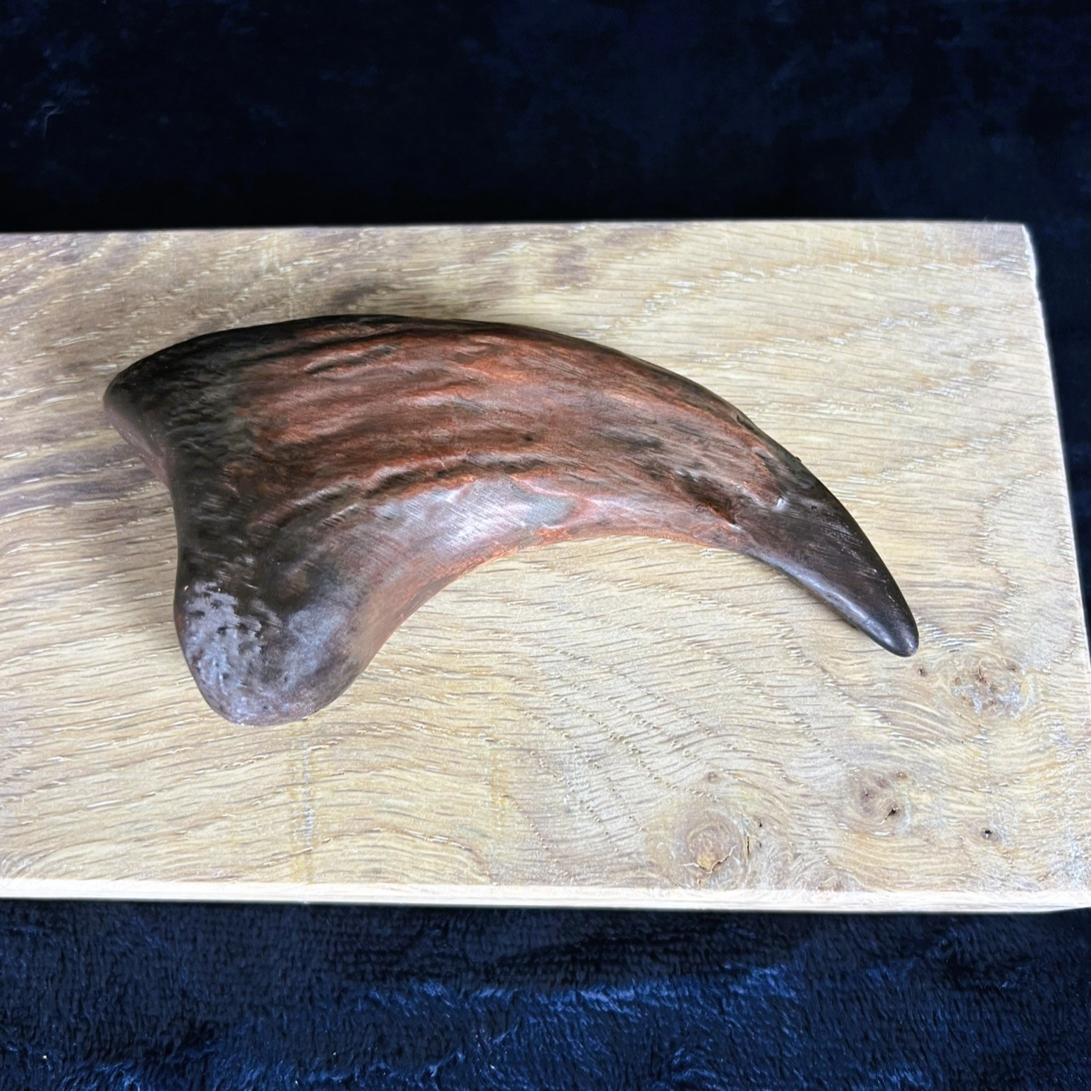Allosaurus Claw Replica | Life Size Museum Quality Display