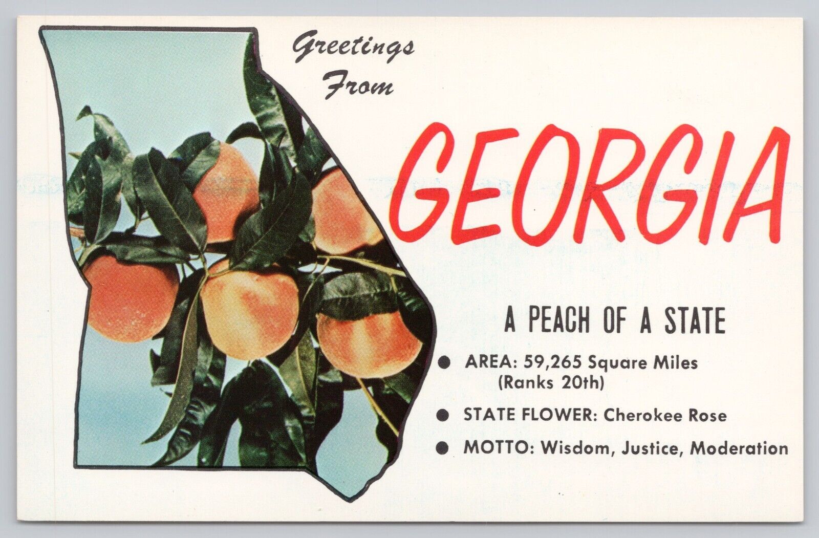 Georgia State, Peaches, Vintage Postcard