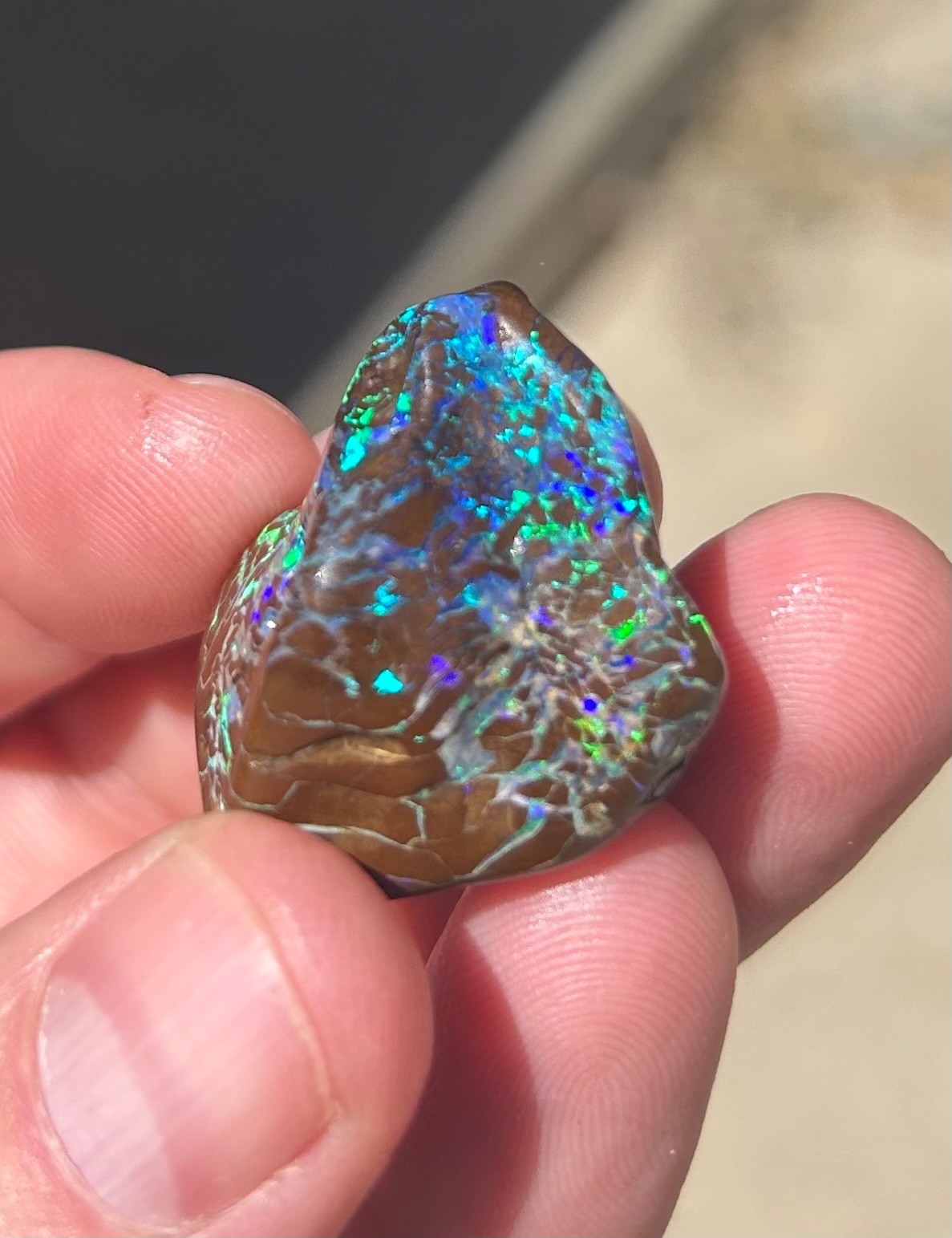 Incredible 25.2g Winton Boulder Opal with kernel eye and amazing potential