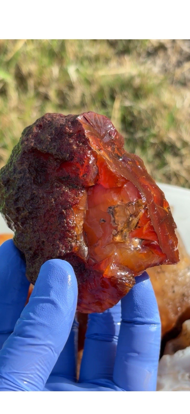 Red-Orange Banded Agate Rough Cabbing Material Lapidary Rock Specimen