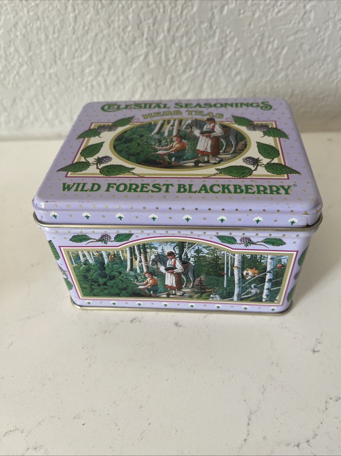 Vintage Celestial Seasonings Herb Teas Tin Wild Forest Blackberry – 1992 Vintage Celestial Seasonings Herb Teas Tin Wild Forest Blackberry – 1992