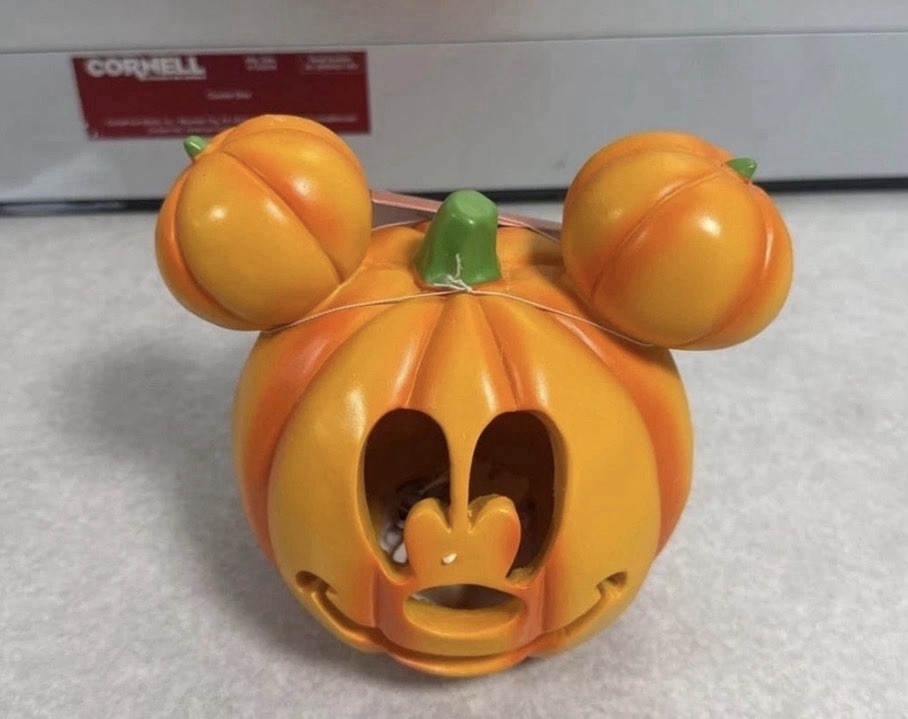 Disney Mickey Minnie Mouse Halloween Light Up Pumpkin Decor Set of 2 NEW