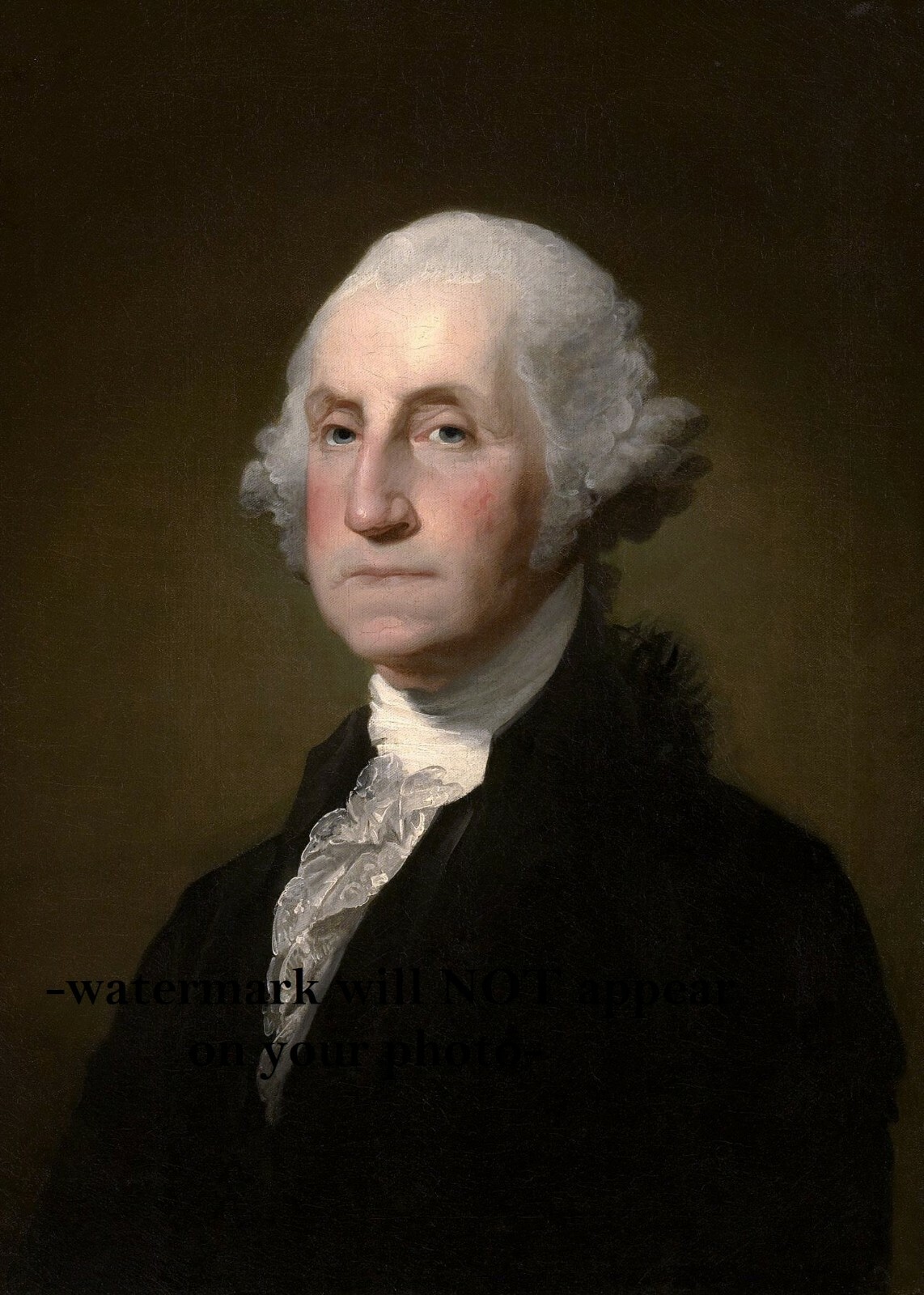 President George Washington PHOTO Official Portrait Art Print Photo, First Prez President George Washington PHOTO Official Portrait Art Print Photo, First Prez
