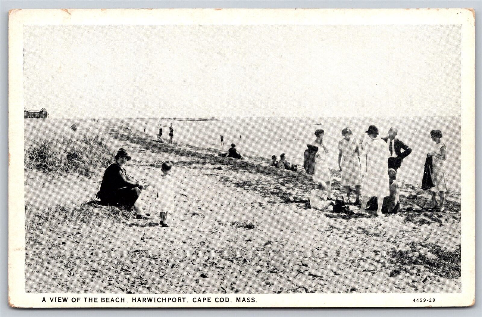 Postcard A View of the Beach, Harwichport, Cape Cod Mass D30