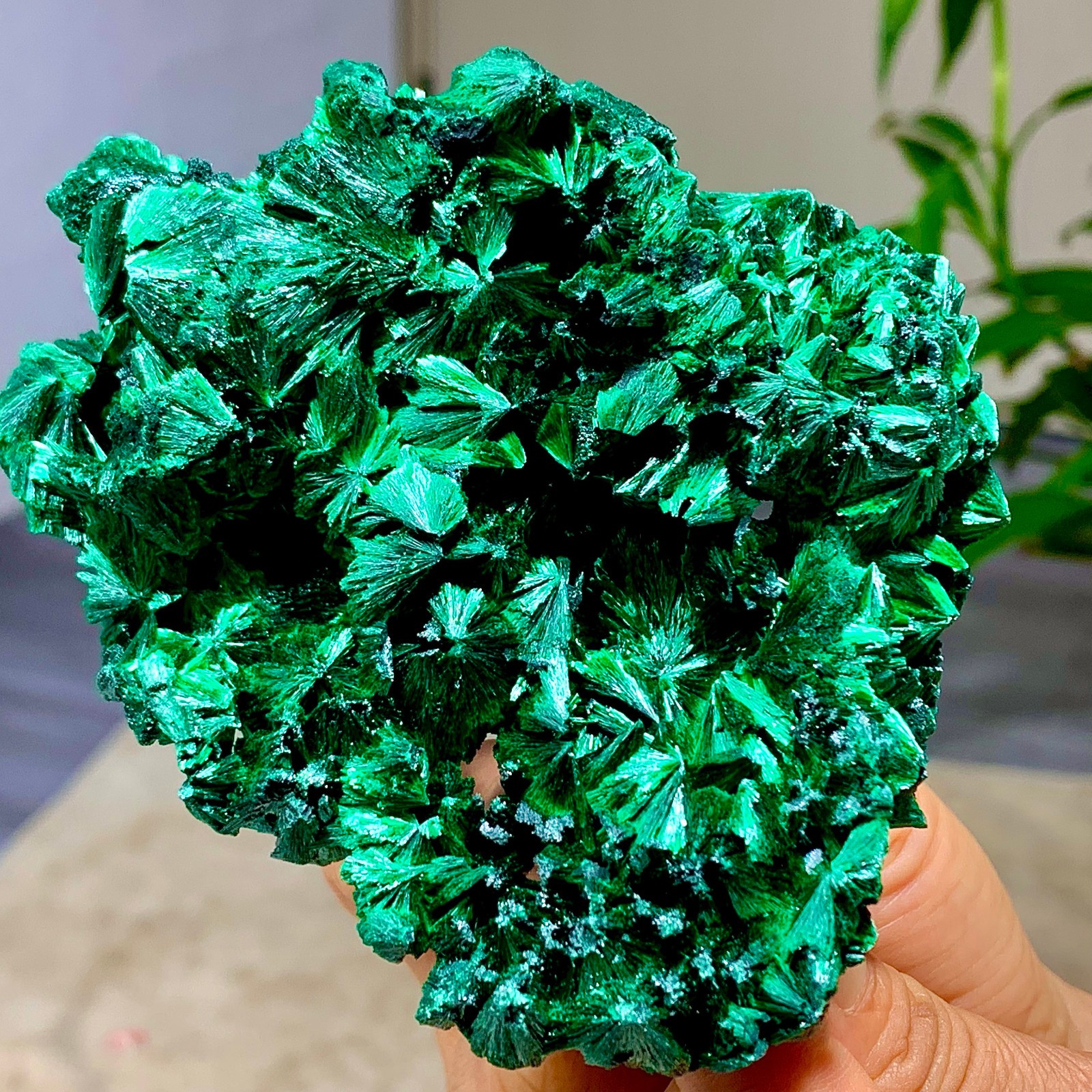 372G Rare Natural acicular feather malachite Quartz Crystal mineral Specimen 372G Rare Natural acicular feather malachite Quartz Crystal mineral Specimen
