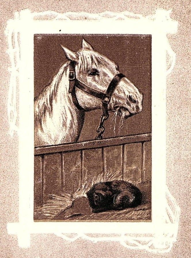 c1910 WESSINGTON SOUTH DAKOTA HORSE SLEEPING CAT R. RICHE ARTIST POSTCARD 46-67