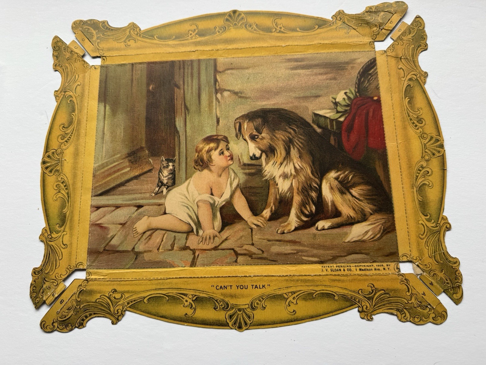 Antique Die Cut Collie Dog Cat Baby Frame Trade Card LG Pat. Pend. 1905 JV Sloan