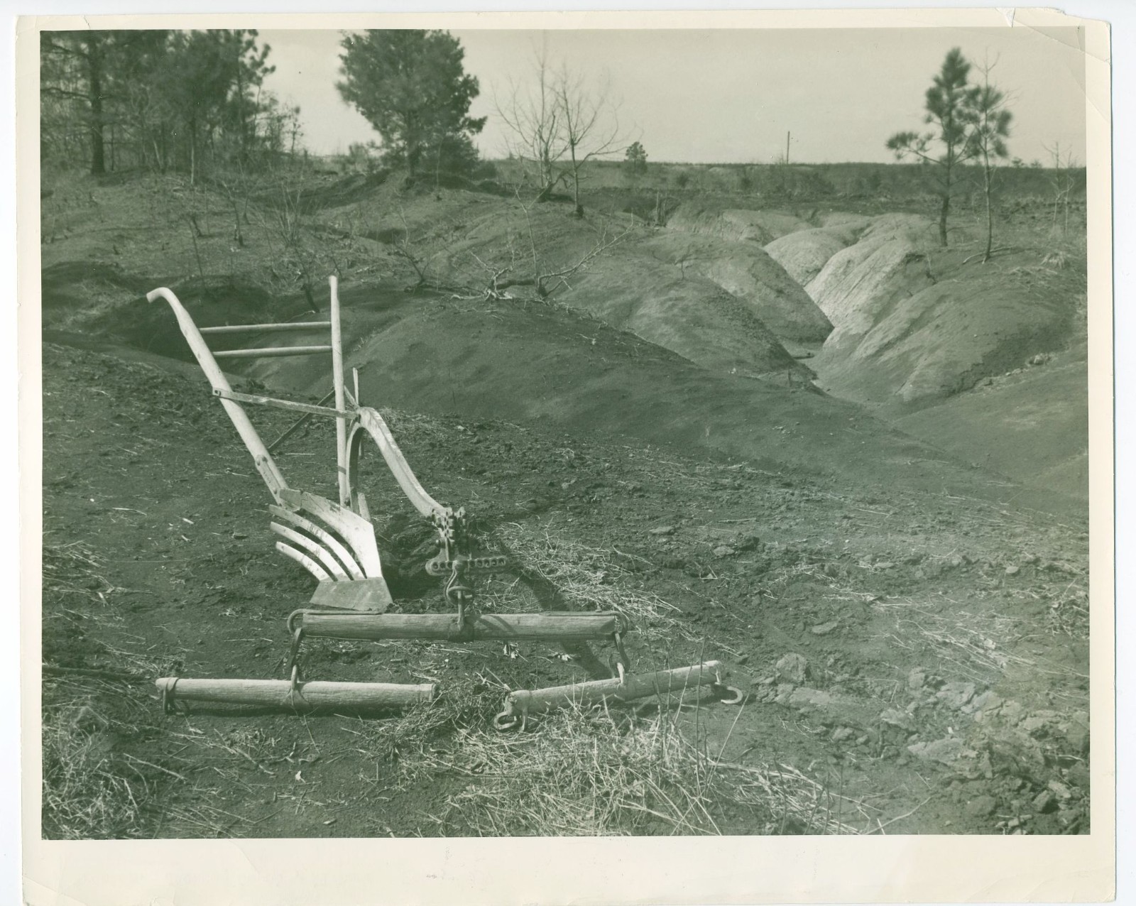 Rare ARTHUR ROTHSTEIN 1937 Erosion Photo FSA Jackson County ALABAMA DUST BOWL