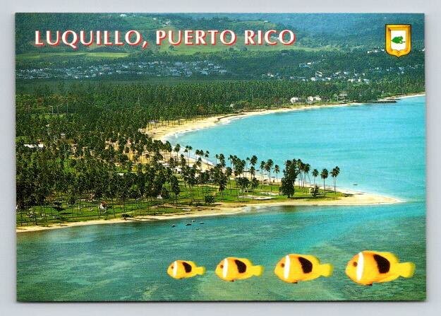 Luquillo Beach Puerto Rico Aerial View Postcard
