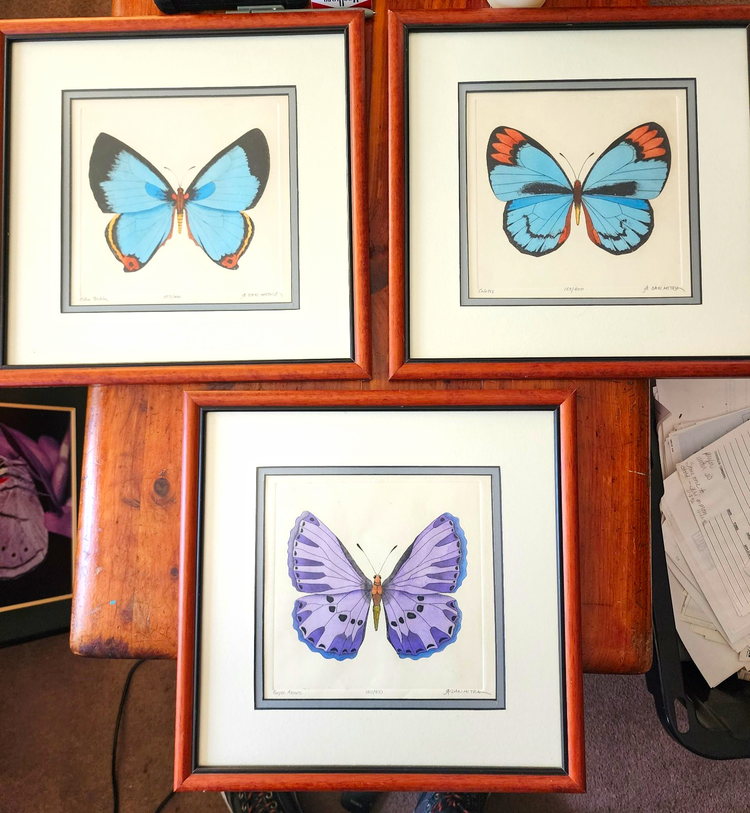 RARE Set of 3 Dan Mitra Hand Colored Etchings Signed MATCHING 153/400 Butterfly RARE Set of 3 Dan Mitra Hand Colored Etchings Signed MATCHING 153/400 Butterfly