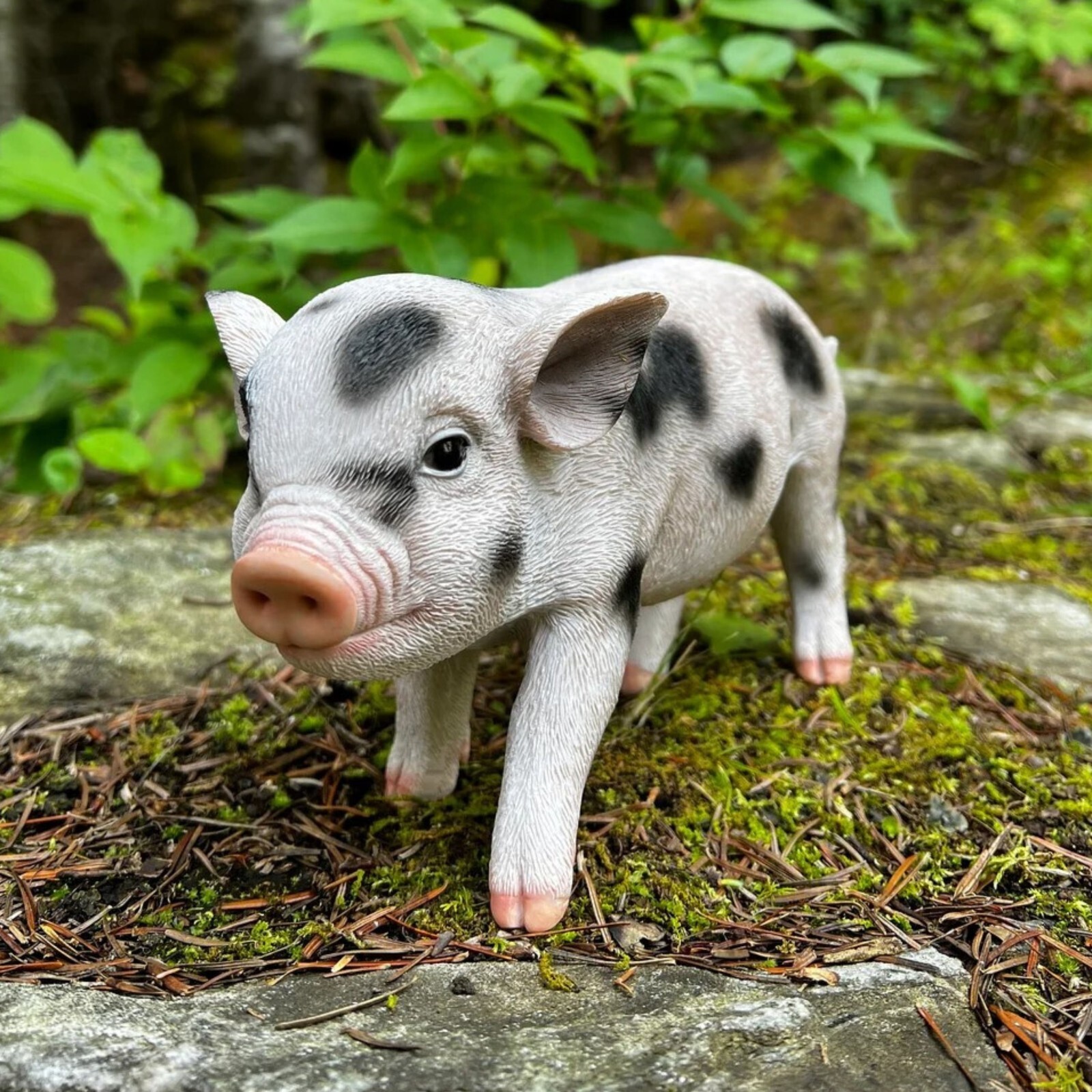 Adorable Realistic Animal Farm Baby Pig Piglet Spotted Garden Statue Yard Decor Adorable Realistic Animal Farm Baby Pig Piglet Spotted Garden Statue Yard Decor